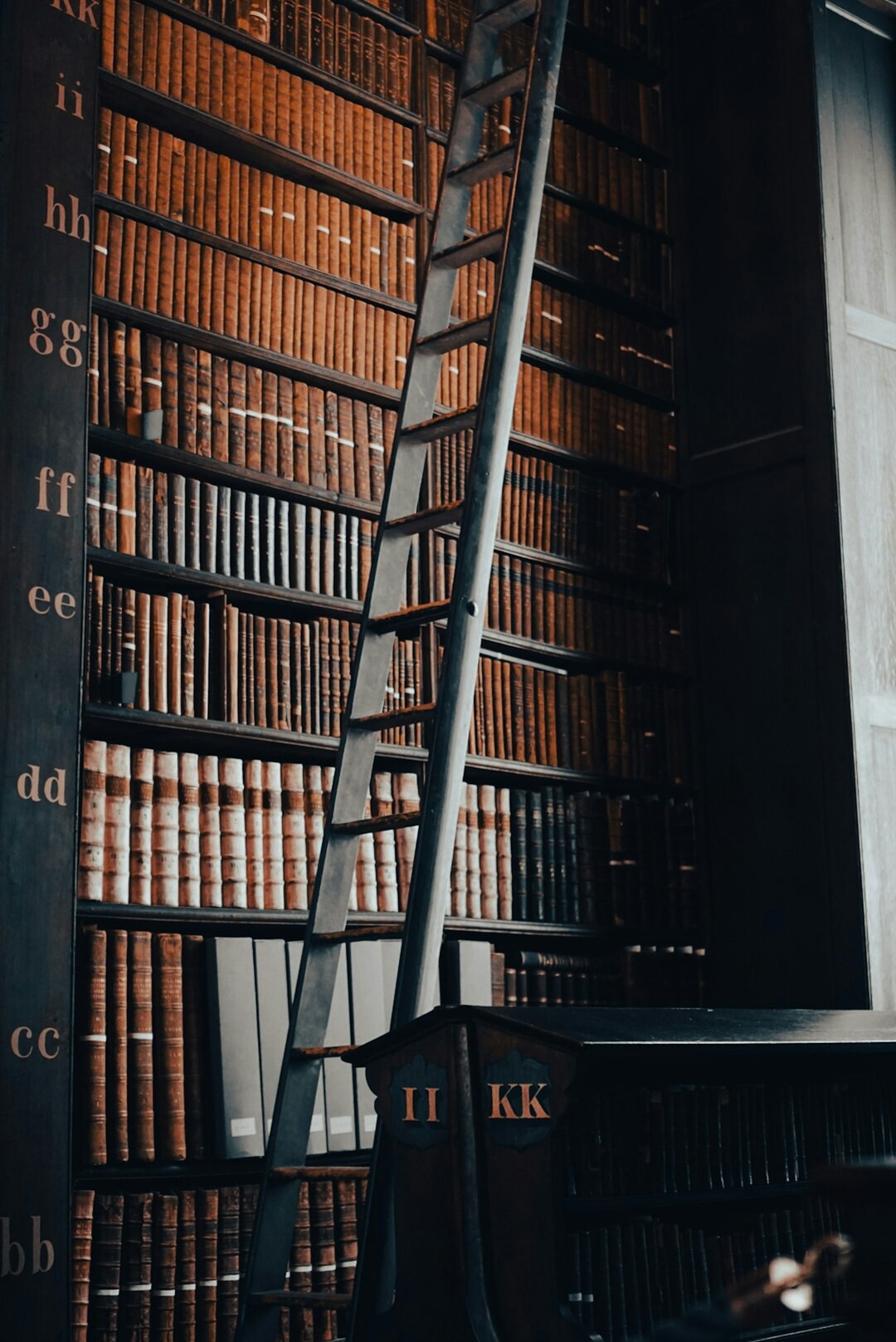 library archive shelves